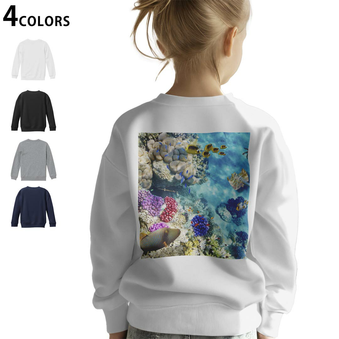 選べる5カラー スウェット トレーナー キッズ 男女兼用 男の子 女の子 ユニセックス unisex 長袖 デザイン リブ ホワイト ブラック 白 黒 グレー ネイビー ベージュ 紺 茶 130 150 trainer sweat▼画像をクリックで拡大▼ ホワイト グレー ブラック ネイビー ▼全デザインはこちらから▼