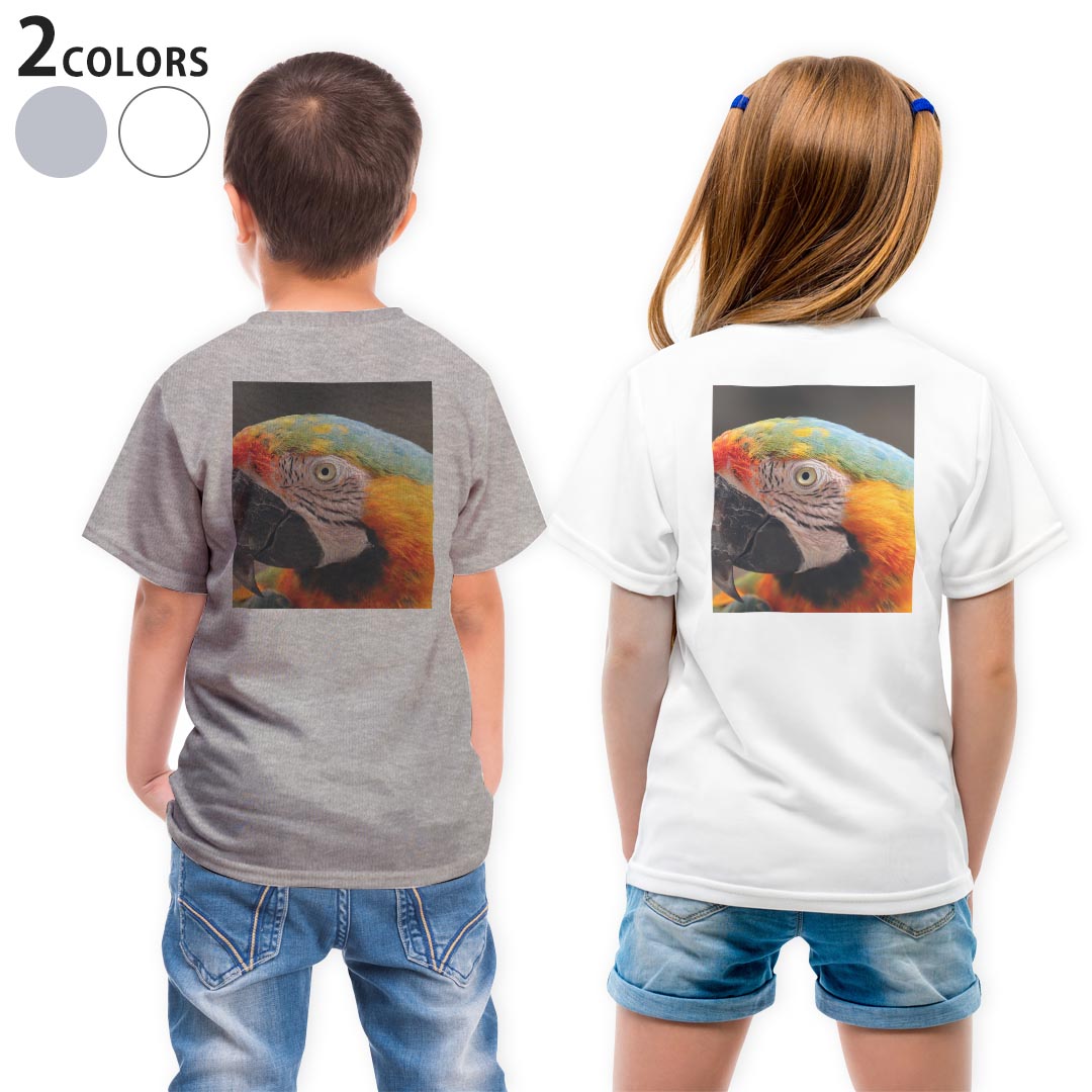 Tシャツ キッズ バックプリント 半袖 白地 デザイン 90 100 110 120 130 140 150 Tシャツ ティーシャツ T shirt 022983 オウム　カラフル　鳥