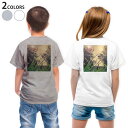 Tシャツ キッズ バックプリント 半袖 白地 デザイン 90 100 110 120 130 140 150 Tシャツ ティーシャツ T shirt 023404 しゃぼん玉 景色