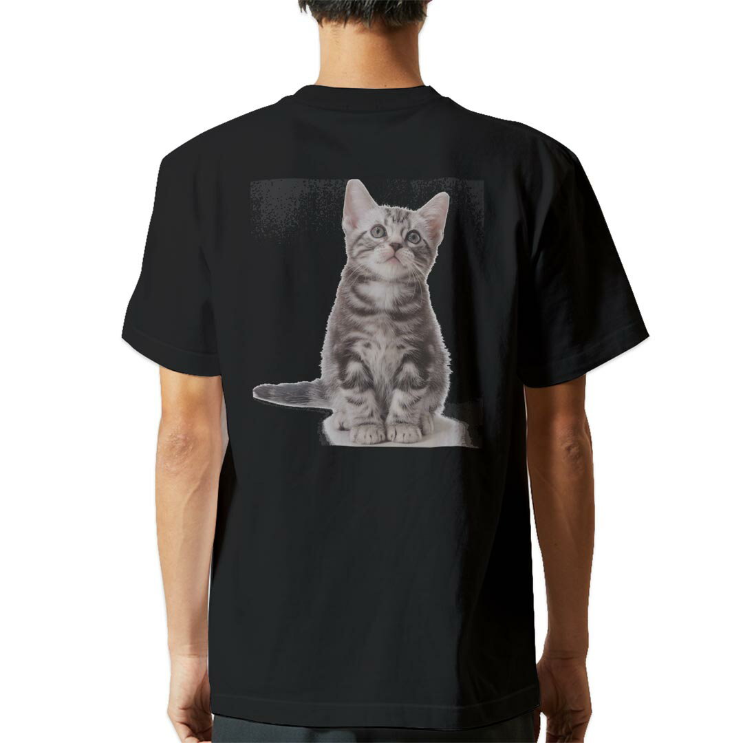 tシャツ メンズ 半袖 バックプリント ブラック デザイン XS S M L XL 2XL ティーシャツ T shirt 001070 猫 アメリカンショートヘア