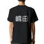tシャツ メンズ 半袖 バックプリント ブラック デザイン XS S M L XL 2XL ティーシャツ T shirt 021832 苗字 名前 嶋田 2,380円