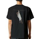 tシャツ メンズ 半袖 バックプリント ブラック デザイン XS S M L XL 2XL ティーシャツ T shirt 005911 写真 動物 ねずみ