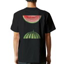 tシャツ メンズ 半袖 バックプリント ブラック デザイン XS S M L XL 2XL ティーシャツ T shirt 012062 英語 スイカ 果物