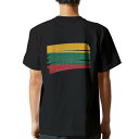 tシャツ メンズ 半袖 バックプリント ブラック デザイン XS S M L XL 2XL ティーシャツ T shirt 018493 lithuania リトアニア(4)