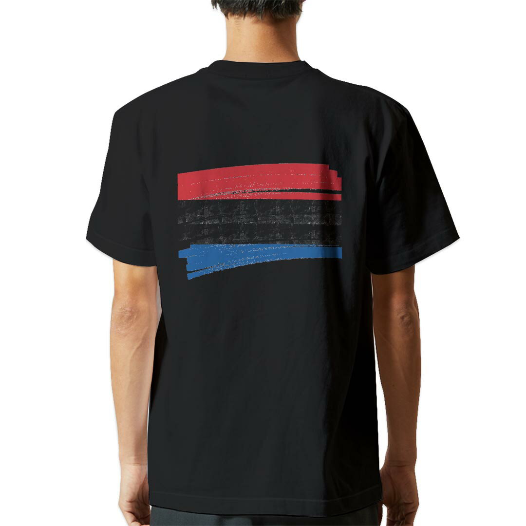 tシャツ メンズ 半袖 バックプリント ブラック デザイン XS S M L XL 2XL ティーシャツ T shirt 018519 netherlands オランダ