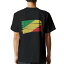 tシャツ メンズ 半袖 バックプリント ブラック デザイン XS S M L XL 2XL ティーシャツ T shirt 018542 republic-of-congo コンゴ共和国 1,190円