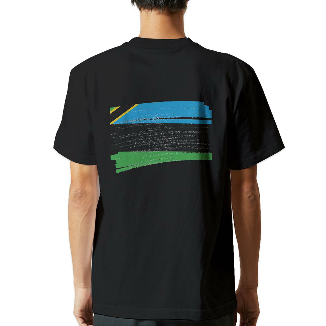tシャツ メンズ 半袖 バックプリント ブラック デザイン XS S M L XL 2XL ティーシャツ T shirt 018605 zanzibar ザンジバル