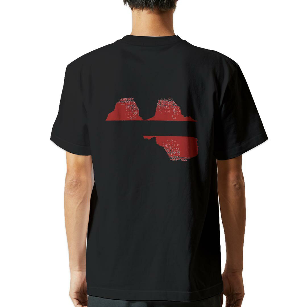 tシャツ メンズ 半袖 バックプリント ブラック デザイン XS S M L XL 2XL ティーシャツ T shirt 018868 latvia ラトビア