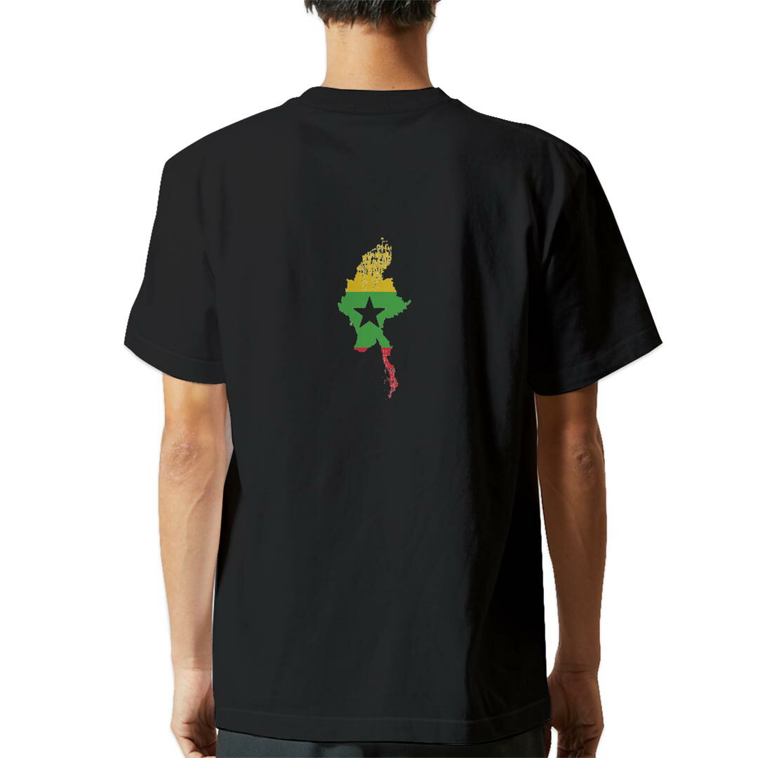 tシャツ メンズ 半袖 バックプリント ブラック デザイン XS S M L XL 2XL ティーシャツ T shirt 018895..