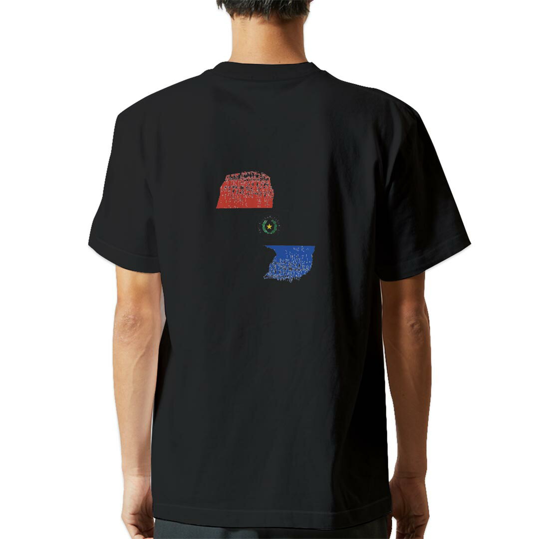 tシャツ メンズ 半袖 バックプリント ブラック デザイン XS S M L XL 2XL ティーシャツ T shirt 018920 paraguay パラグアイ