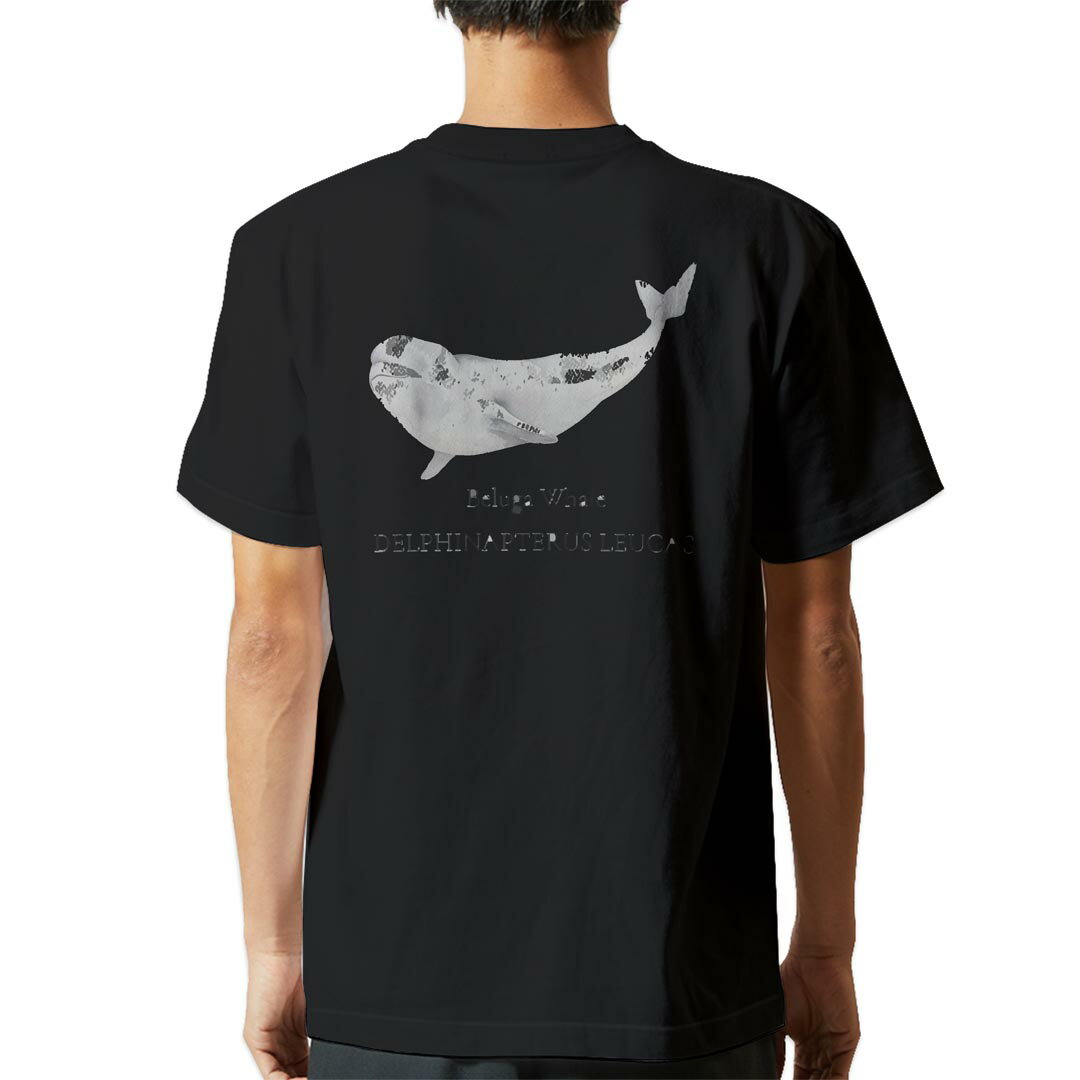 tシャツ メンズ 半袖 バックプリント ブラック デザイン XS S M L XL 2XL ティーシャツ T shirt 019747 海の生物 シロイルカ beluga whale
