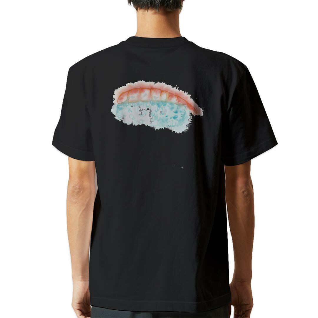 tシャツ メンズ 半袖 バックプリント ブラック デザイン XS S M L XL 2XL ティーシャツ T shirt 019849 お寿司 Sushi