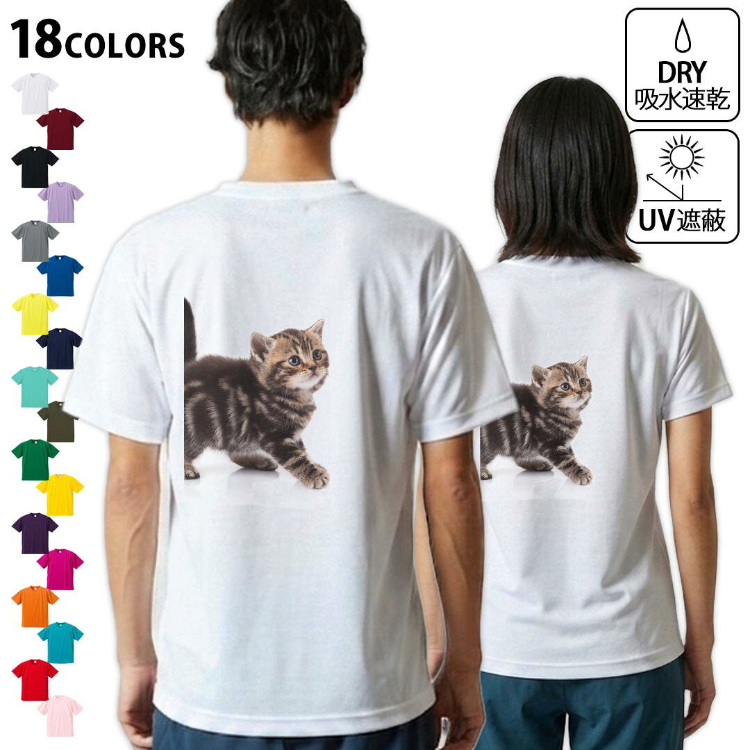 tシャツ メンズ 半袖 バックプリント 背面印刷 ホワイト グレー デザイン XS S M L XL 2XL Tシャツ ティーシャツ T shirt　白 灰色ライトグレー チャコール ライトベージュ サンドカーキ バナナ オレンジ ライトピン ベビーピンク ピンク レッド ダークブラウン アイビーグリーン シティグリーン ロイヤルブルー インディゴ ネイビー バイオレットパープル パープル ストーングレー サンドベージュ コーラルベージュ ゴールド ライトパープル各カラーのイメージ画像は▼画像をクリックで拡大▼ ホワイト ブラック グレー イエロー ミントグリーン 　　 グリーン パープル オレンジ レッド バーガンディ ラベンダー コバルトブルー ネイビー OD カナリアイエロー トロピカルピンク ターコイズブルー ベビーピンク ※ブラック・ネイビーは印刷の都合上デザインが異なる場合がありますので画像をご確認ください。 　　　 ▼全デザインはこちらから▼ ▼前面プリント(男性)はこちらから▼ ▼前面プリント(子供)はこちらから▼