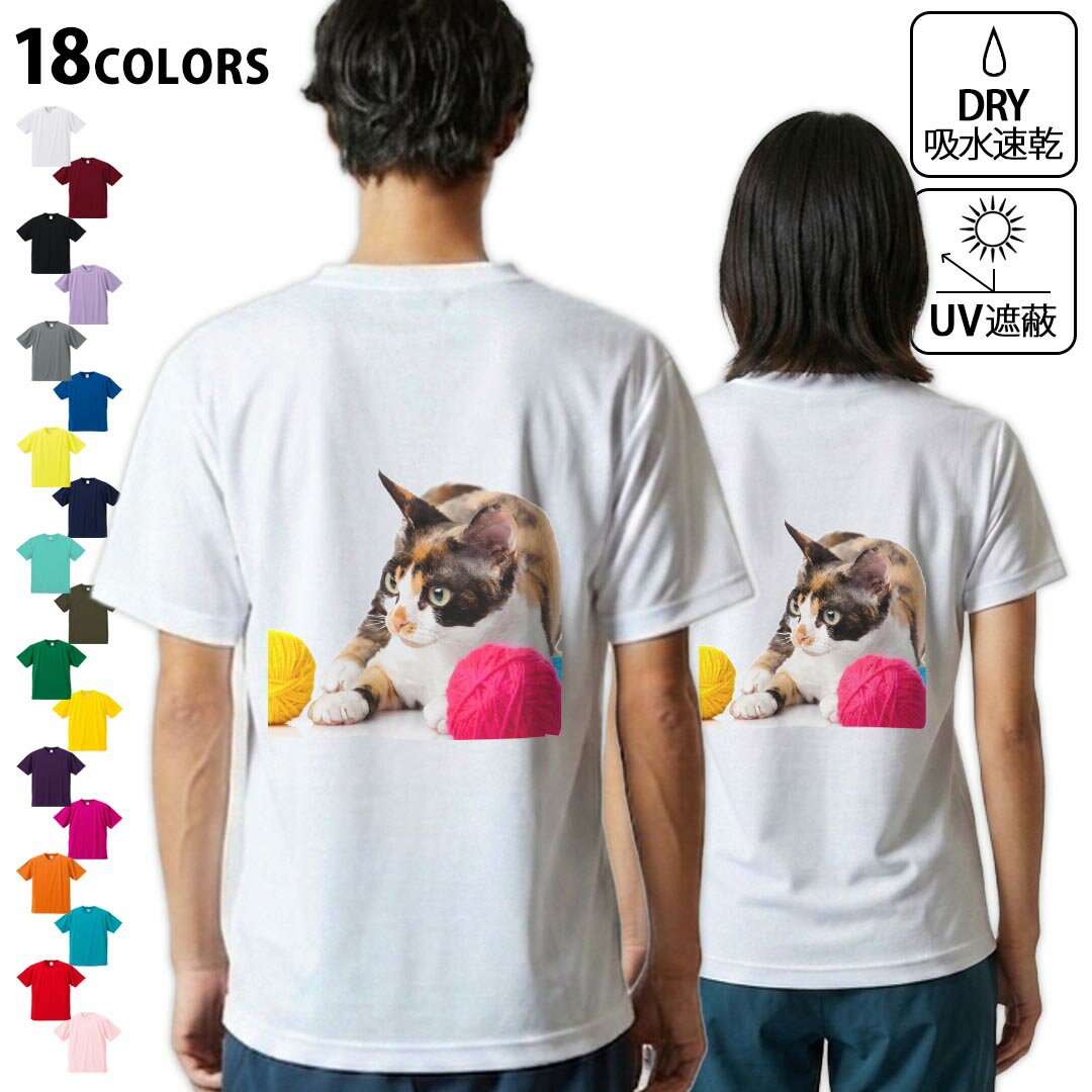Spain （Clubs） - ドライTシャツ バックプリント メンズ 吸水 速乾 DRY 選べる18カラー! 半袖 デザイン 背中 スポーツ ティーシャツ T shirt 005939 写真　動物　猫　ねこ