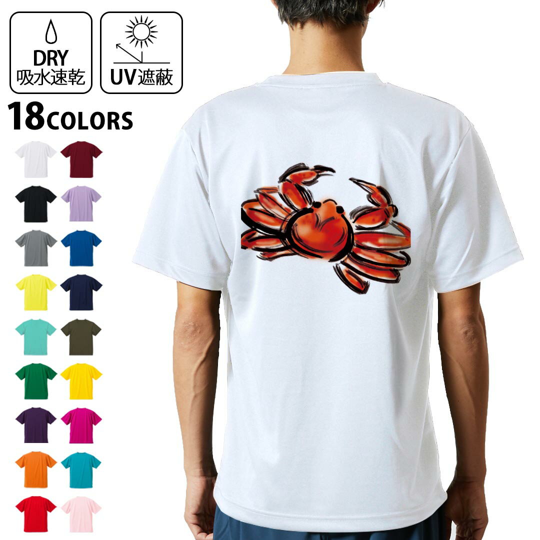 ドライTシャツ バックプリント メンズ 吸水 速乾 DRY 選べる18カラー! 半袖 デザイン 背中 スポーツ テ..