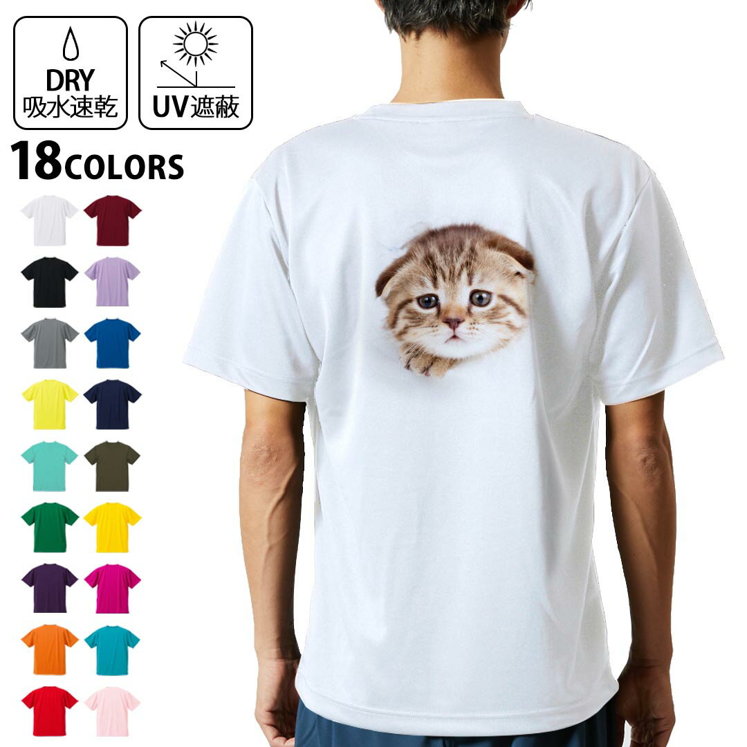 ドライTシャツ バックプリント メンズ 吸水 速乾 DRY 選べる18カラー! 半袖 デザイン 背中 スポーツ テ..