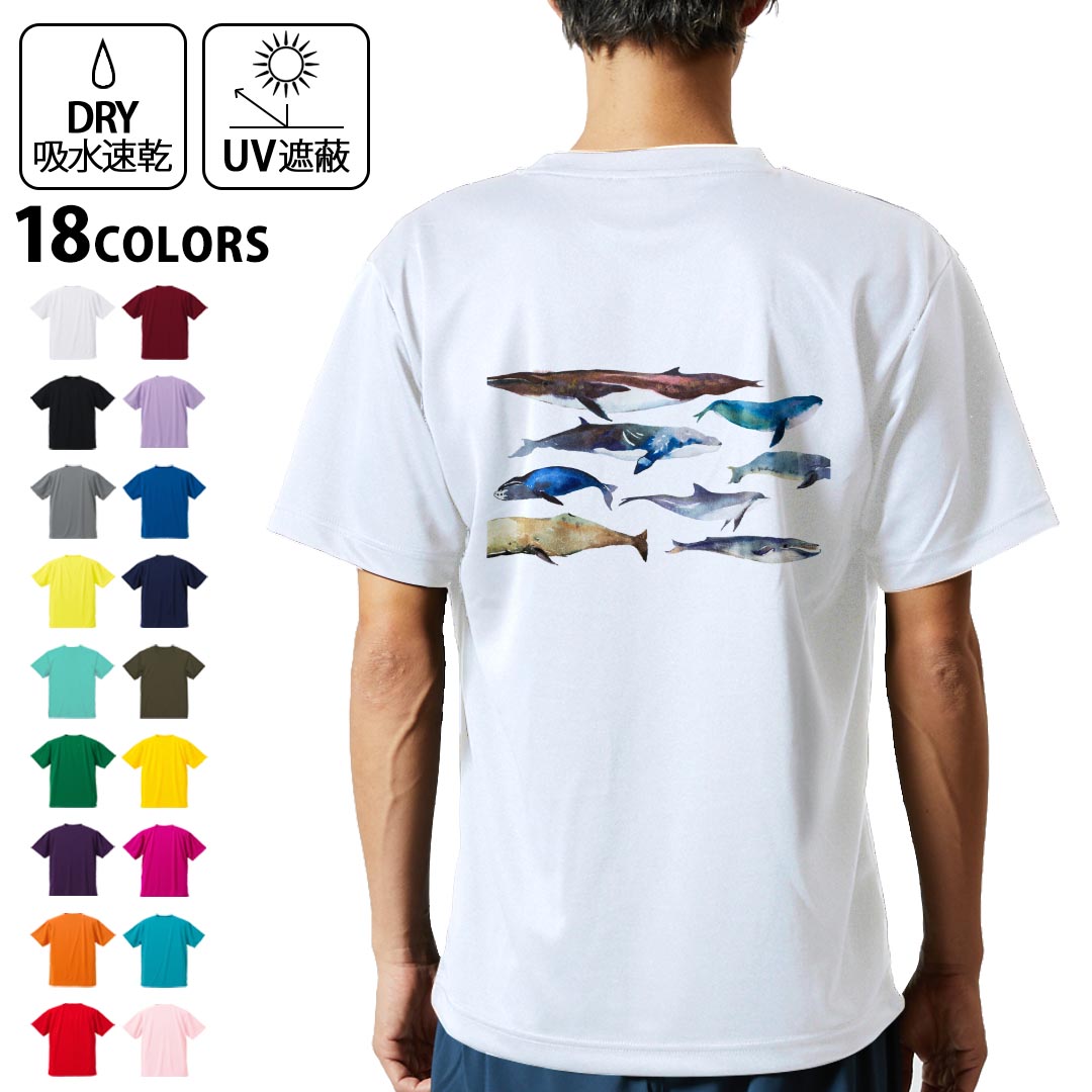 ドライTシャツ バックプリント メンズ 吸水 速乾 DRY 選べる18カラー! 半袖 デザイン 背中 スポーツ ティーシャツ T shirt 015836 魚　海　くじら　シャチ
