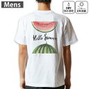 メンズ ドライバックプリントTシャツ ホワイト 半袖 4.1オンス ジム トレーニング スポーツ 運動会 ドライアスレチック UVカット 紫外線遮蔽 吸水速乾 デザイン Tshirt S M L XL 2XL 3XL 4XL 5XL 6XL 012062 英語 スイカ 果物