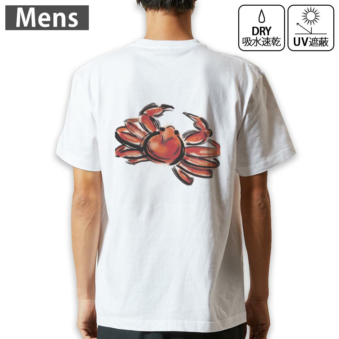 ��� �ɥ饤�Хå��ץ���T����� �ۥ磻�� Ⱦµ 4.1���� ���� �ȥ졼�˥� ���ݡ��� ��ư�� �ɥ饤��������å� UV���å� �糰������ �ۿ�®�� ...