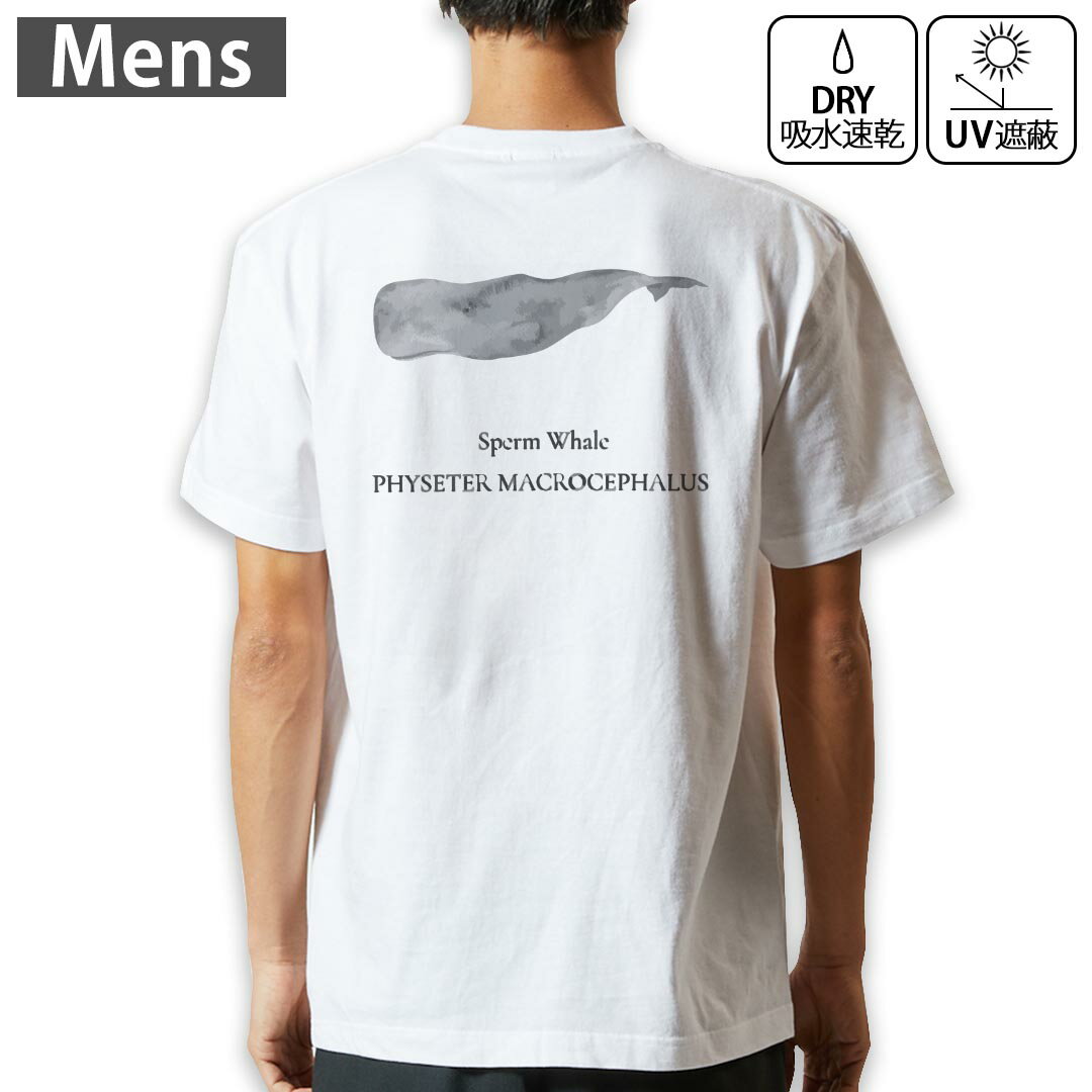 メンズ ドライバックプリントTシャツ ホワイト 半袖 4.1オンス ジム トレーニング スポーツ 運動会 ドライアスレチック UVカット 紫外線遮蔽 吸水速乾 デザイン Tshirt S M L XL 2XL 3XL 4XL 5XL 6XL 019742 海の生物 マッコウクジラ sperm whale