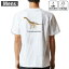 メンズ ドライバックプリントTシャツ ホワイト 半袖 4.1オンス ジム トレーニング スポーツ 運動会 ドライアスレチック UVカット 紫外線遮蔽 吸水速乾 デザイン Tshirt S M L XL 2XL 3XL 4XL 5XL 6XL 019771 恐竜 camarasaurus カマラサウルス 1,580円