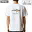 メンズ ドライバックプリントTシャツ ホワイト 半袖 4.1オンス ジム トレーニング スポーツ 運動会 ドライアスレチック UVカット 紫外線遮蔽 吸水速乾 デザイン Tshirt S M L XL 2XL 3XL 4XL 5XL 6XL 019781 恐竜 Dacentrurus ダケントルルス 1,580円