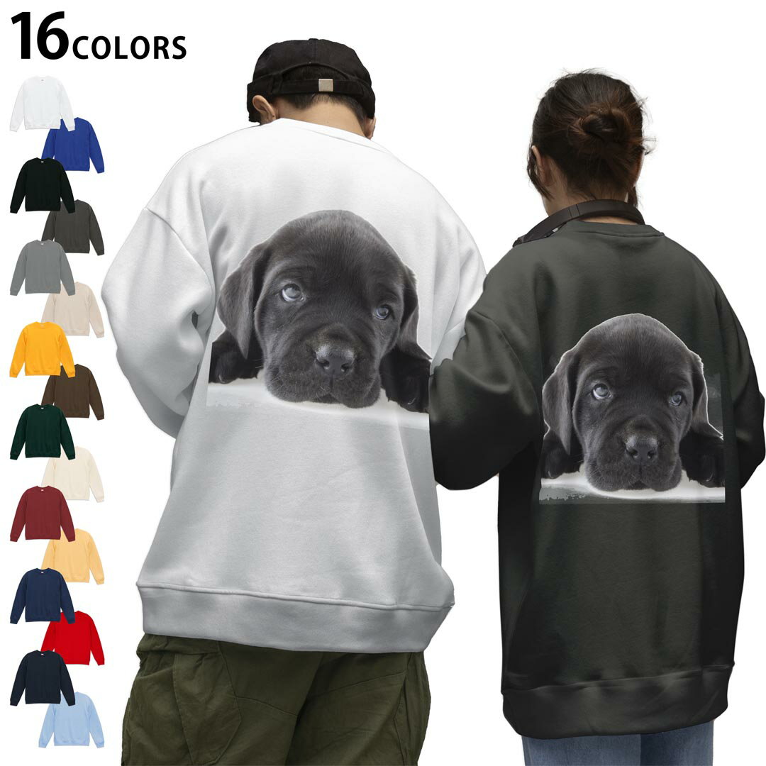 ���٤�16���顼�ȥ졼�ʡ��Хå��ץ��� ��� ��ǥ����� ��˥��å��� Ĺµ �ۥ磻�� ���졼 �֥�å� �ǥ����� S M L XL 2XL sweatsh...