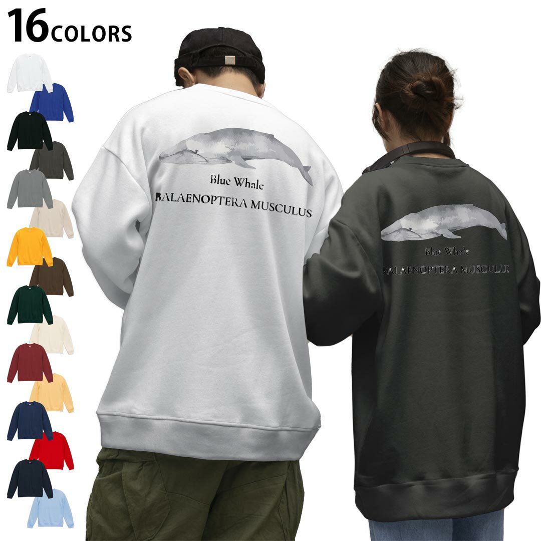 選べる16カラートレーナーバックプリント メンズ レディース ユニセックス 長袖 ホワイト グレー ブラック デザイン S M L XL 2XL sweatshirt　trainer スウェット 019741 海の生物 シロナガスクジラ blue whale