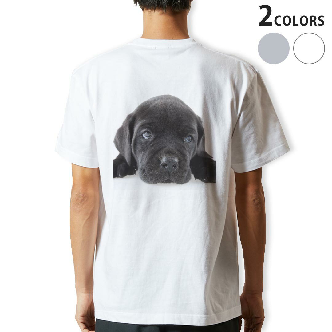 乐天商城 - Tシャツ メンズ バックプリント半袖 ホワイト グレー デザイン XS S M L XL 2XL tシャツ ティーシャツ T shirt 000127 犬 黒 フレンチブルドック ダックスフント