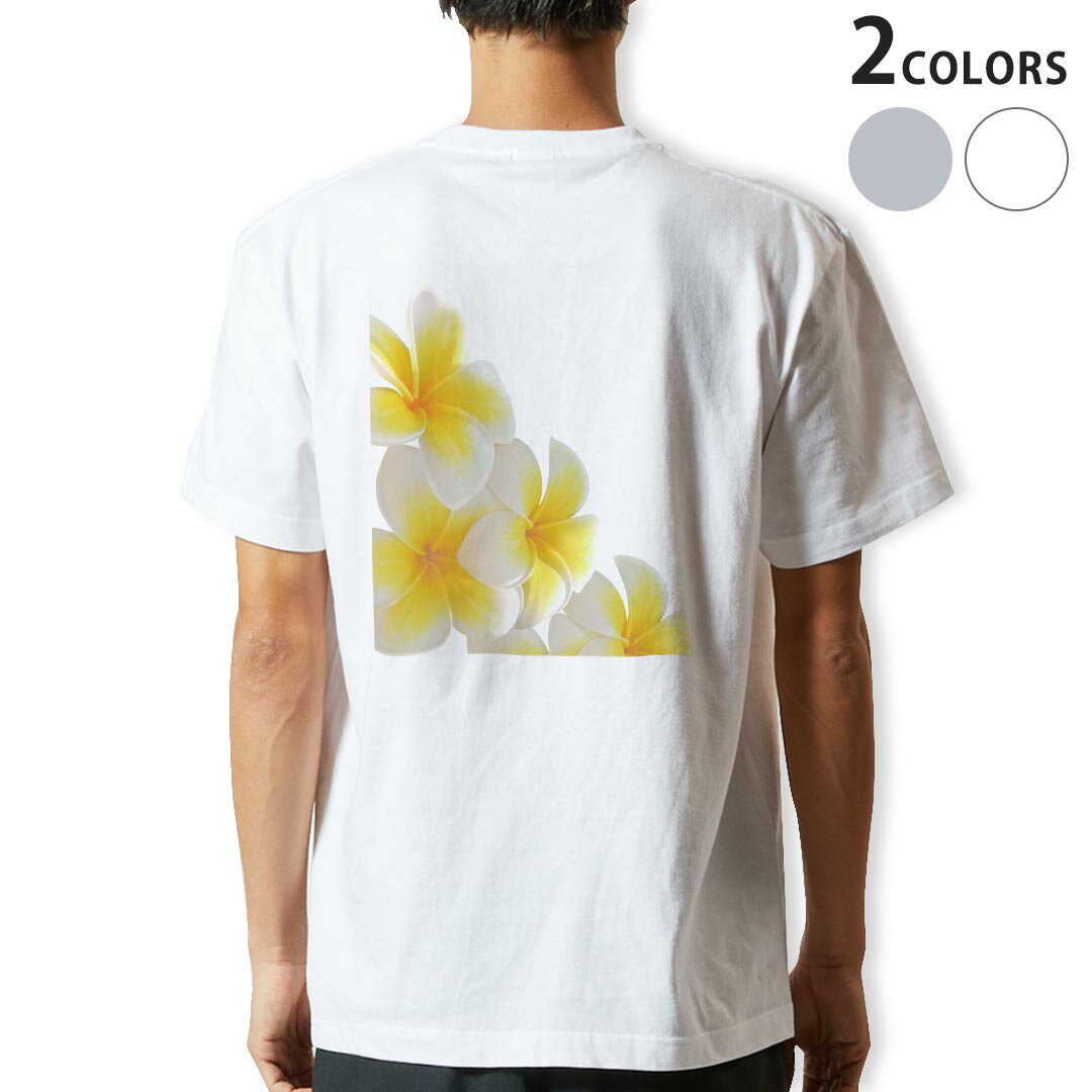 Tシャツ メンズ バックプリント半袖 ホワイト グレー デザイン XS S M L XL 2XL tシャツ ティーシャツ ..