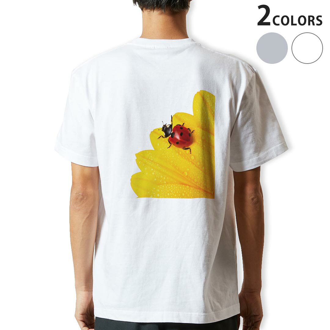 Tシャツ メンズ バックプリント半袖 ホワイト グレー デザイン XS S M L XL 2XL tシャツ ティーシャツ T shirt 001580 花　テントウムシ　花びら
