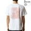 Tシャツ メンズ バックプリント半袖 ホワイト グレー デザイン XS S M L XL 2XL tシャツ ティーシャツ T shirt022838 ハート　水彩　ピンク