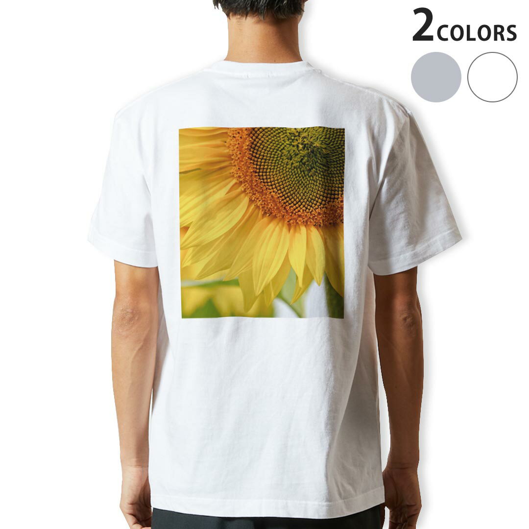 Tシャツ メンズ バックプリント半袖 ホワイト グレー デザイン XS S M L XL 2XL tシャツ ティーシャツ ..