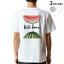 Tシャツ メンズ バックプリント半袖 ホワイト グレー デザイン XS S M L XL 2XL tシャツ ティーシャツ T shirt 012062 英語　スイカ　果物