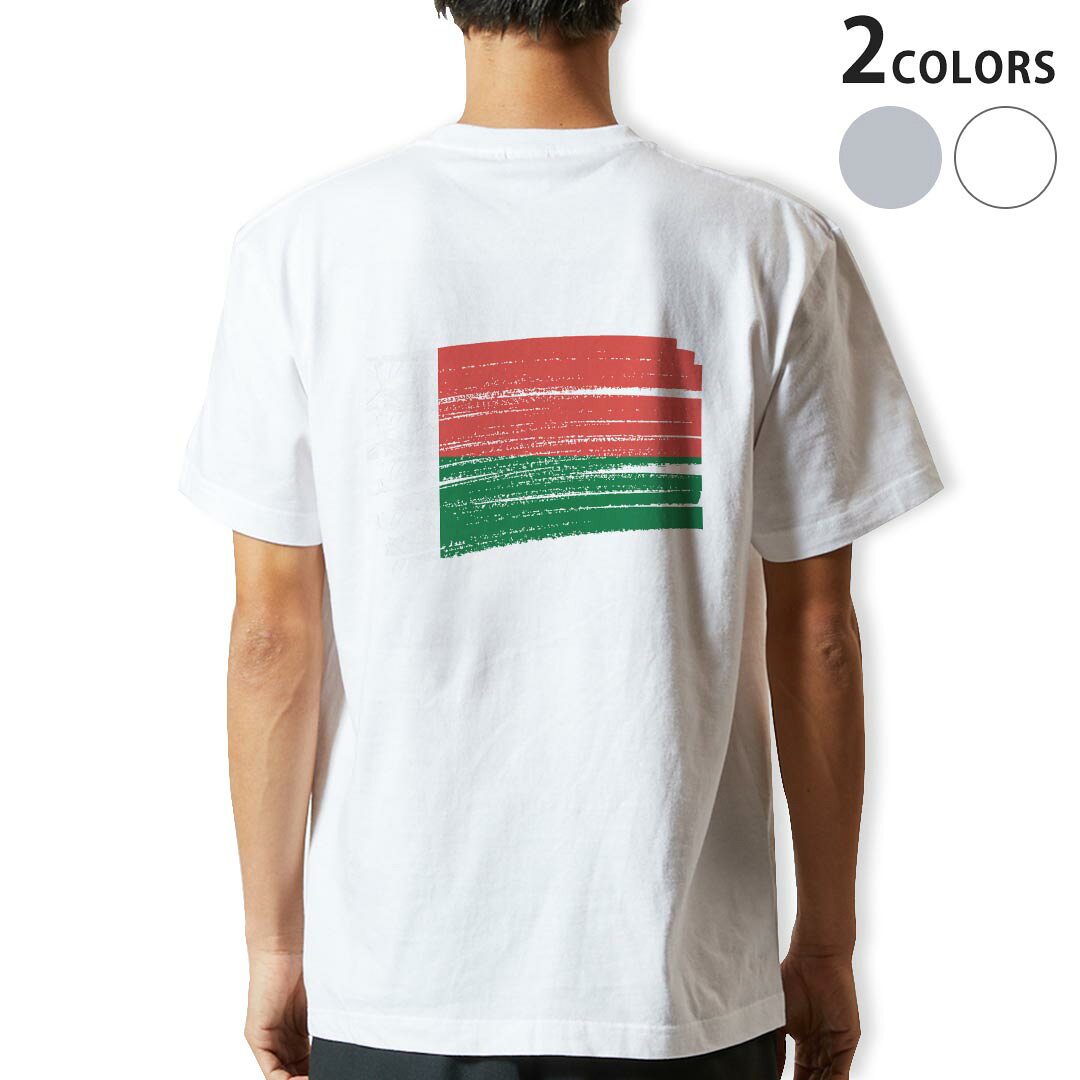 骷髅型 - Tシャツ メンズ バックプリント半袖 ホワイト グレー デザイン XS S M L XL 2XL tシャツ ティーシャツ T shirt 018497 madagascar マダガスカル