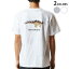Tシャツ メンズ バックプリント半袖 ホワイト グレー デザイン XS S M L XL 2XL tシャツ ティーシャツ T shirt019781 恐竜 恐竜 Dacentrurus ダケントルルス 1,780円