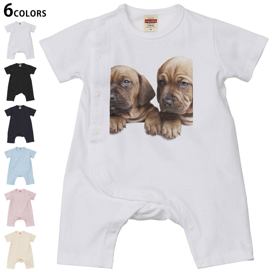 選べる6カラー カバーオール ロンパース 赤ちゃん 半袖 デザイン 70cm 80cm　rompers ベビー 新生児 ジュニア 80サイズ ギフト マタニティ 妊婦 出産 プレママ ティーシャツ T shirt▼画像をクリックで拡大▼ ホワイト ブラック ネイビー ライトブルー ベビーピンク ヴィンテージナチュラル ※ブラック・ネイビーは印刷の都合上デザインの色見が他カラーと異なる場合があります。 ※サイズは70・80cmのみ・70cmは、ホワイト・ブラック・ネイビーのみです。 ▼カバーオール全デザインはこちらから▼ ▼キッズ用Tシャツはこちらから▼