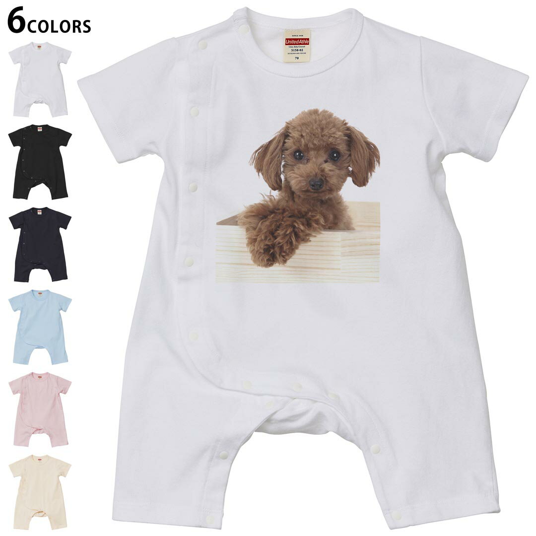 Short Sleeves - 選べる6カラー ロンパース カバーオール 赤ちゃん 半袖 デザイン 70cm 80cm　rompers ベビー 新生児 キッズ 70サイズ 80サイズ ギフト マタニティ 妊婦 出産祝い プレママ ティーシャツ T shirt 002769 犬　動物　写真