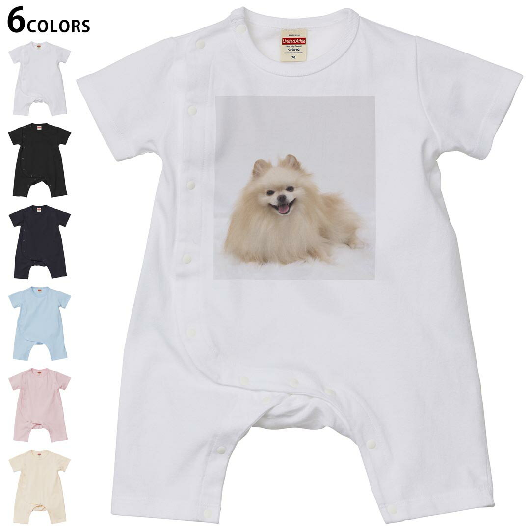 Short Sleeves - 選べる6カラー ロンパース カバーオール 赤ちゃん 半袖 デザイン 70cm 80cm　rompers ベビー 新生児 キッズ 70サイズ 80サイズ ギフト マタニティ 妊婦 出産祝い プレママ ティーシャツ T shirt 002912 犬　動物　写真
