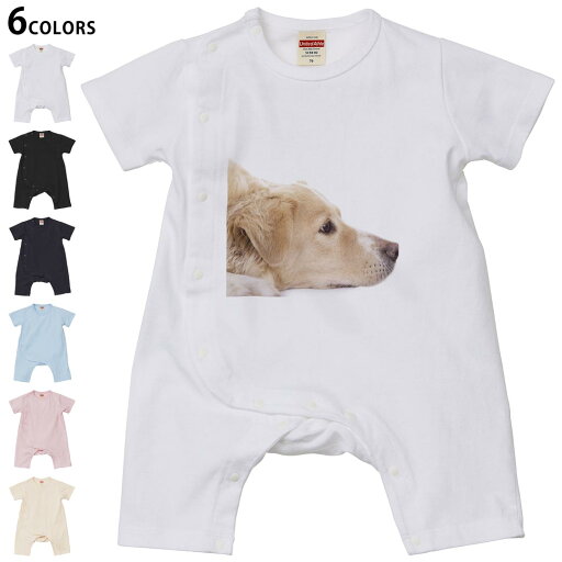 選べる6カラー ロンパース カバーオール 赤ちゃん 半袖 デザイン 70cm 80cm rompers ベビー 新生児 キッズ 70サイズ 80サイズ ギフト マタニティ 妊婦 出産祝い プレママ ティーシャツ T shirt 006630 写真 犬 動物 選べる6カラー ロンパース カバーオール 赤ちゃん 半袖 デザイン 70cm 80cm rompers ベビー 新生児 キッズ 70サイズ 80サイズ ギフト マタニティ 妊婦 出産祝い プレママ ティーシャツ T shirt 006630 写真 犬 動物