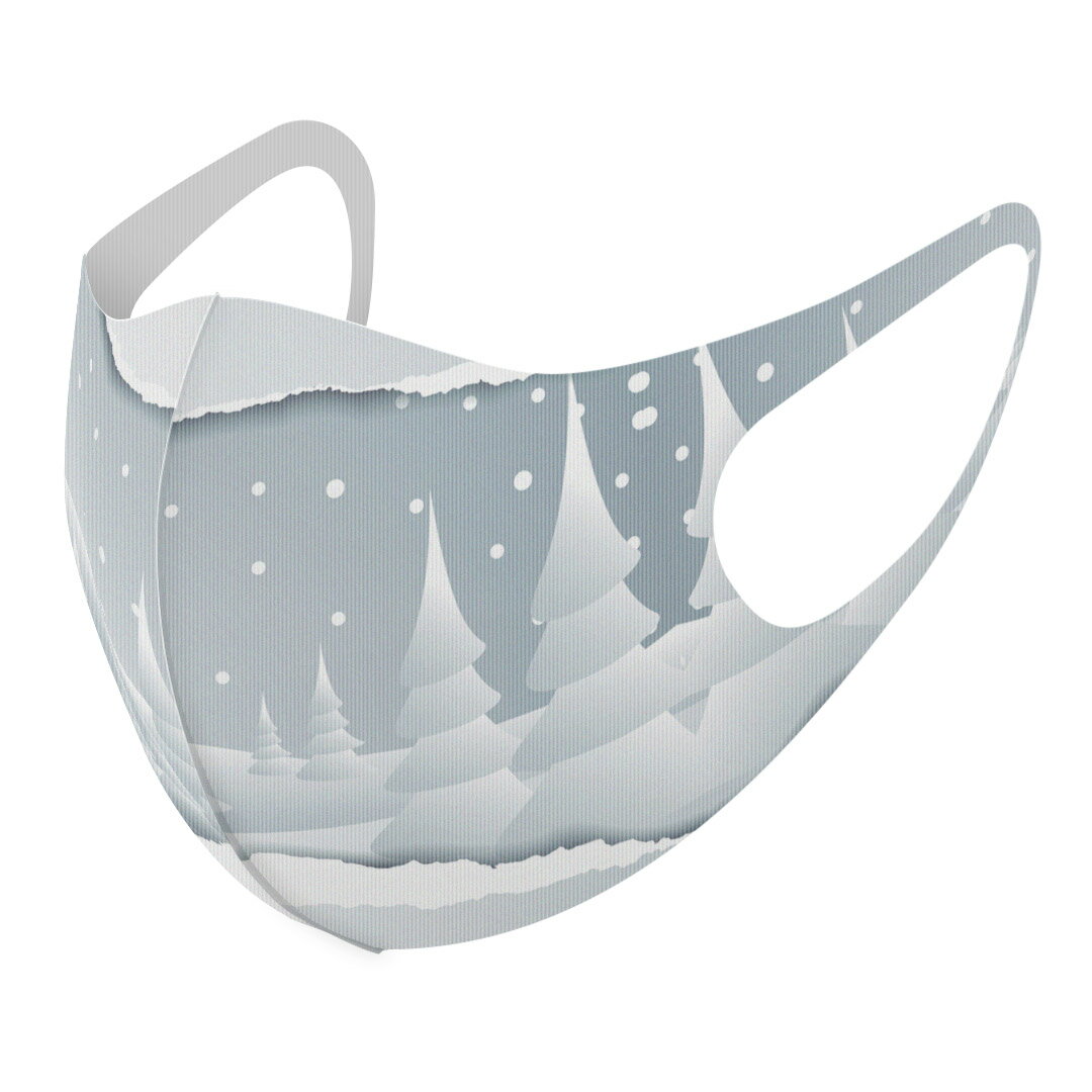 2枚セット デザインマスク 洗えるマスク おしゃれ 人気 ファッション ポリエステル 布マスク 洗って 繰り返し 大人用 子供用 普通 メンズ レディース 男性 女性 こども ジュニア キッズ 幼児 未就学児 001444 雪景色
