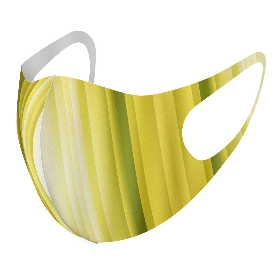 商品特徴・洗って繰り返し使える デザインマスク 2枚セット・素材：ポリエステル　サラサラとした肌触りで通気性がよく、呼吸も苦しくなりにくい・3D立体構造で伸縮性もあるので、顔にしっかりフィットして耳が痛くなりにくい・専用の高精細転写プリンタ...