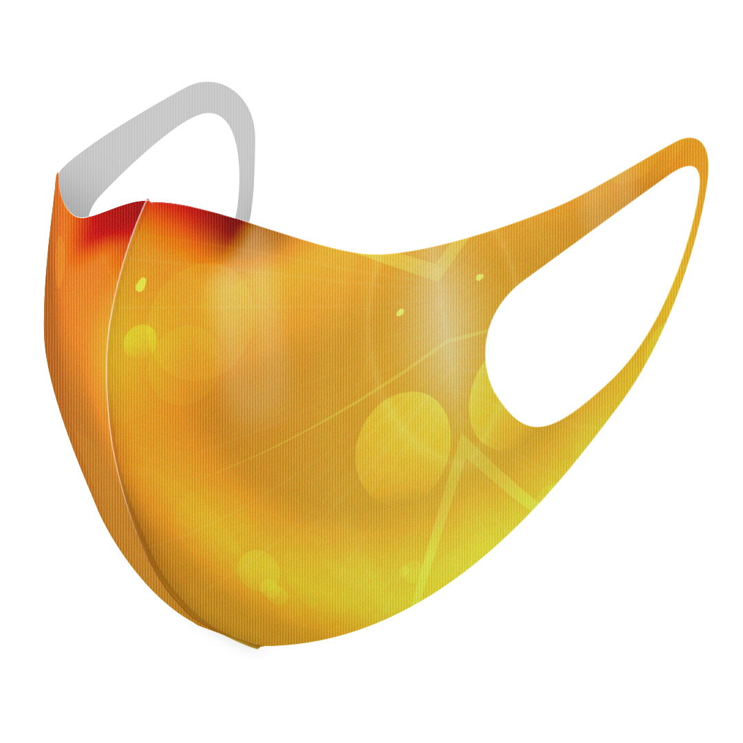 2枚セット デザインマスク 洗えるマスク おしゃれ 人気 ファッション ポリエステル 布マスク 洗って 繰..