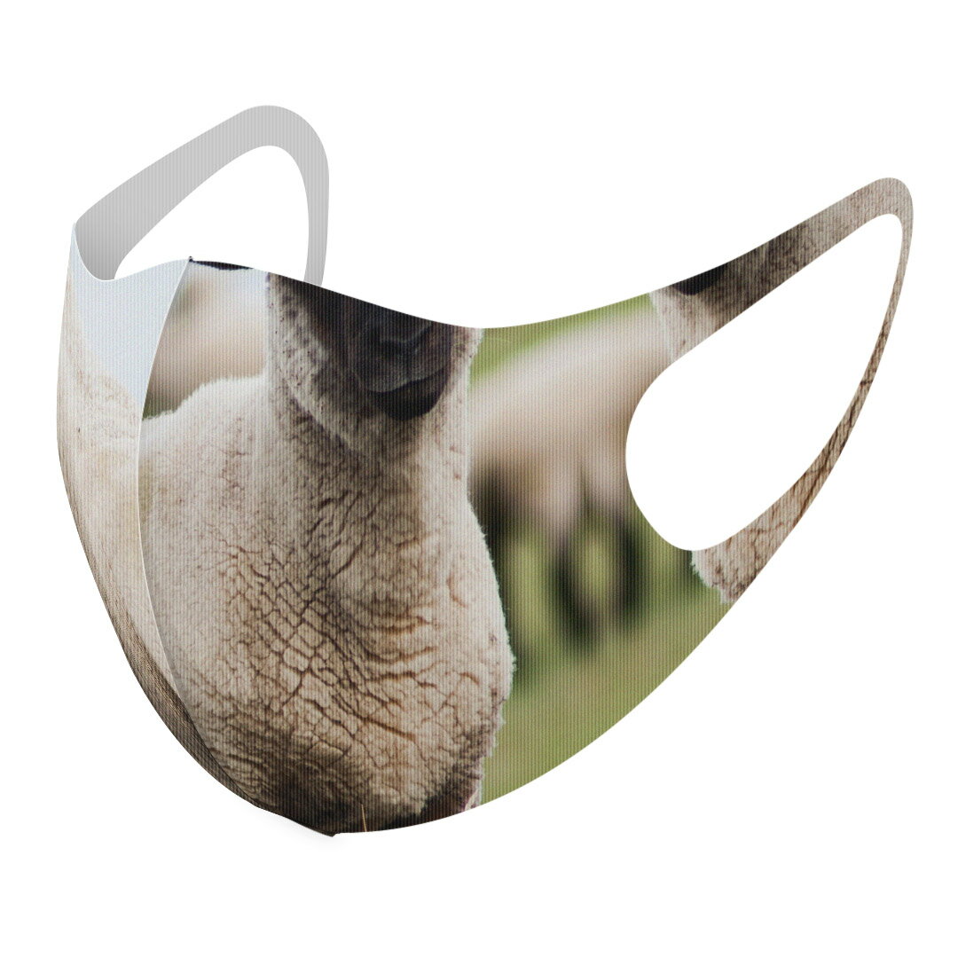 2枚セット デザインマスク 洗えるマスク おしゃれ 人気 ファッション ポリエステル 布マスク 洗って 繰り返し 大人用 子供用 普通 メンズ レディース 男性 女性 こども ジュニア キッズ 幼児 未就学児 002653 ひつじ　動物　写真
