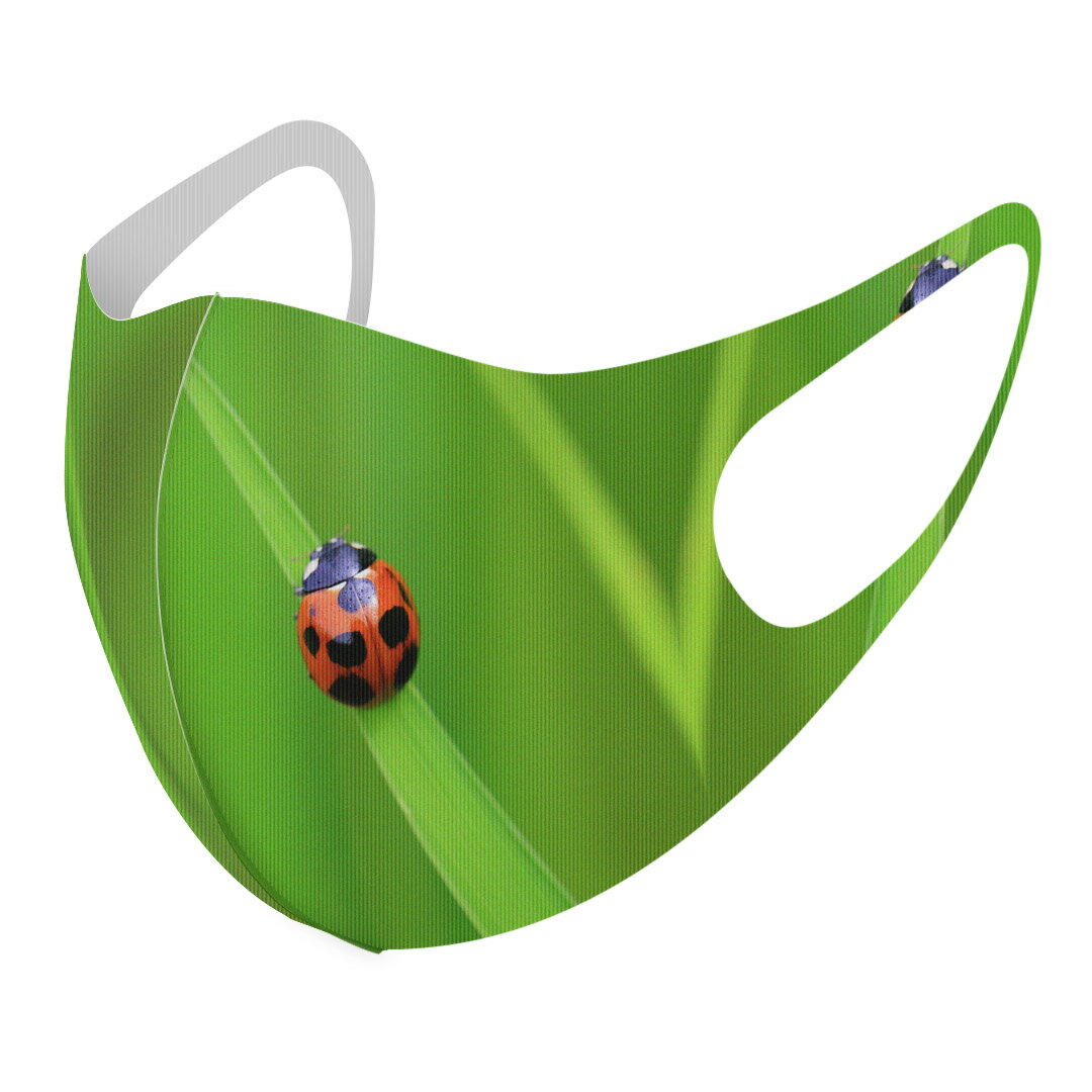 2枚セット デザインマスク 洗えるマスク おしゃれ 人気 ファッション ポリエステル 布マスク 洗って 繰..