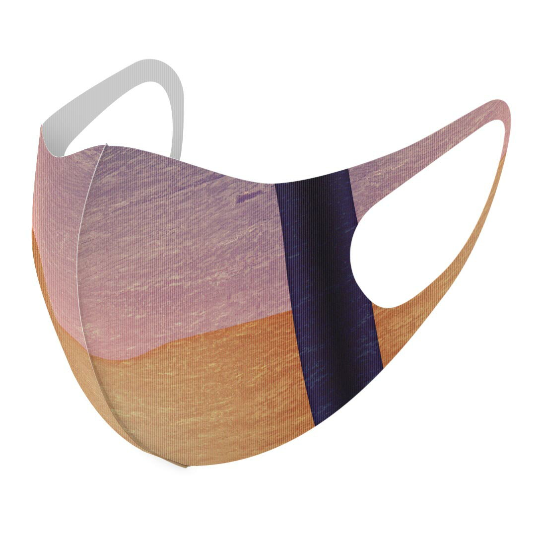 2枚セット デザインマスク 洗えるマスク おしゃれ 人気 ファッション ポリエステル 布マスク 洗って 繰..