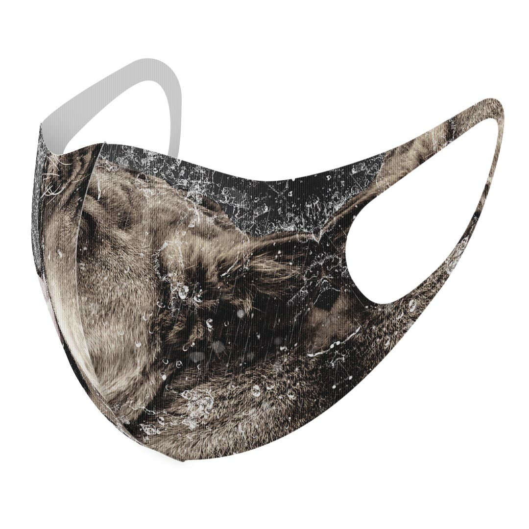 2枚セット デザインマスク 洗えるマスク おしゃれ 人気 ファッション ポリエステル 布マスク 洗って 繰..