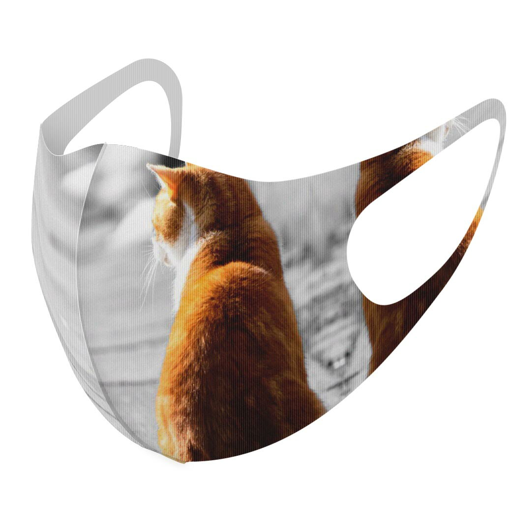 2枚セット デザインマスク 洗えるマスク おしゃれ 人気 ファッション ポリエステル 布マスク 洗って 繰り返し 大人用 子供用 普通 メンズ レディース 男性 女性 こども ジュニア キッズ 幼児 未就学児 025763 動物　ネコ　風景