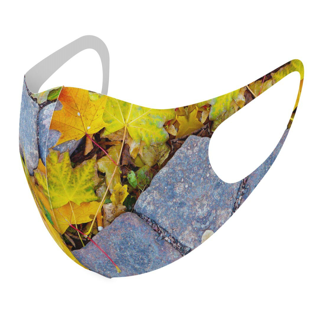 2枚セット デザインマスク 洗えるマスク おしゃれ 人気 ファッション ポリエステル 布マスク 洗って 繰..