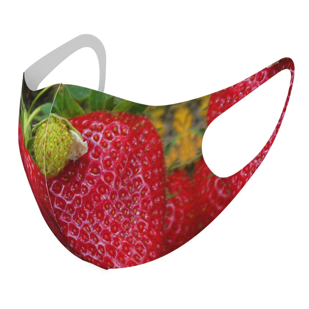 2枚セット デザインマスク 洗えるマスク おしゃれ 人気 ファッション ポリエステル 布マスク 洗って 繰り返し 大人用 子供用 普通 メンズ レディース 男性 女性 こども ジュニア キッズ 幼児 未就学児 026024 フルーツ 果物 いちご